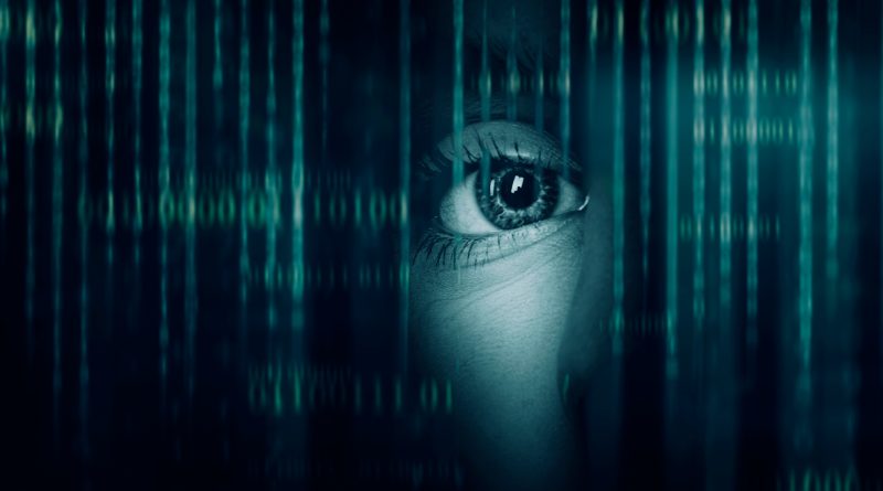 We need to anticipate and address potential fraud in the metaverse